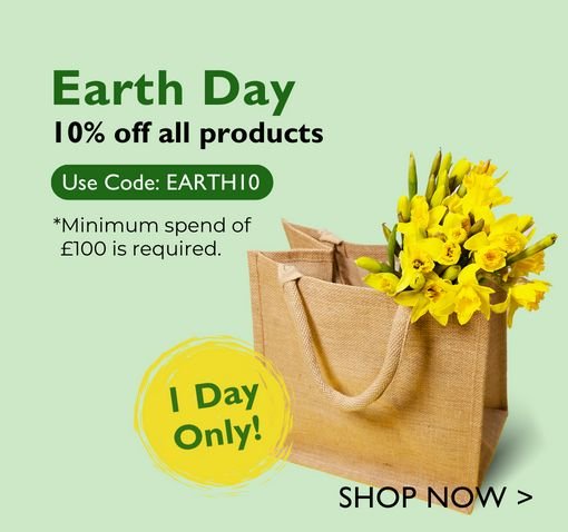Carrier Bag Shop campaign 07 - Graphic Design
